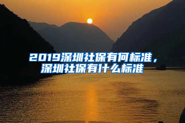 2019深圳社保有何标准，深圳社保有什么标准