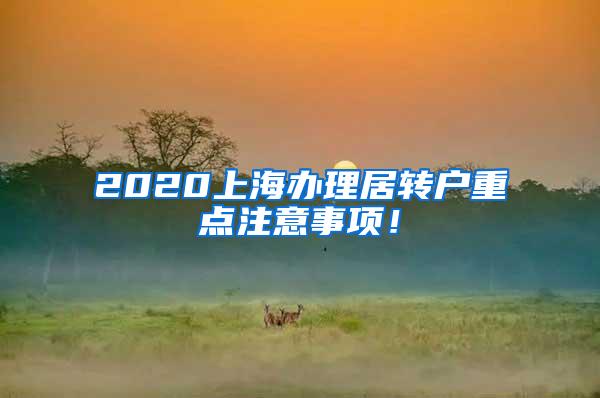 2020上海办理居转户重点注意事项！