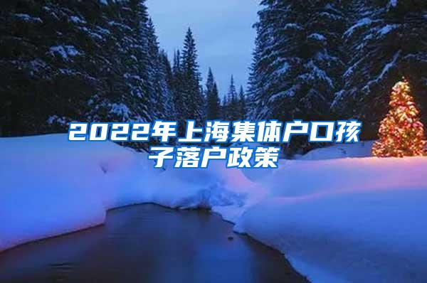 2022年上海集体户口孩子落户政策