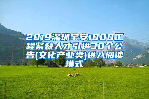 2019深圳宝安1000工程紧缺人才引进30个公告(文化产业类)进入阅读模式