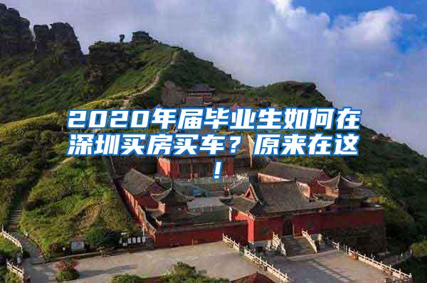 2020年届毕业生如何在深圳买房买车？原来在这！