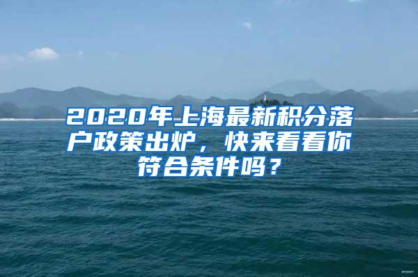 2020年上海最新积分落户政策出炉，快来看看你符合条件吗？