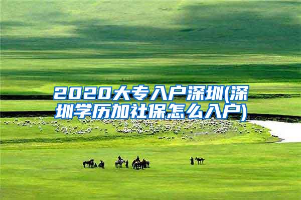 2020大专入户深圳(深圳学历加社保怎么入户)