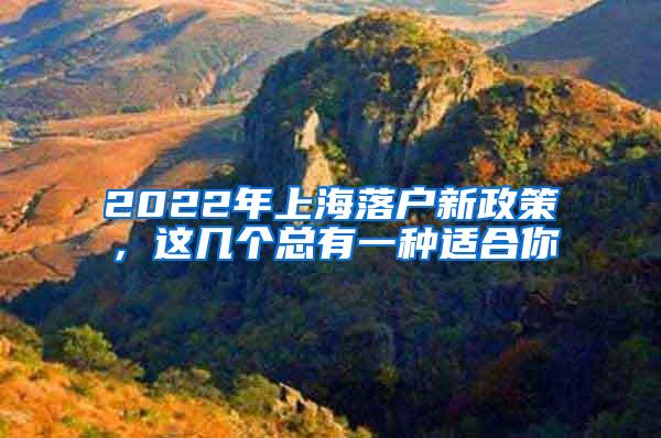 2022年上海落户新政策，这几个总有一种适合你