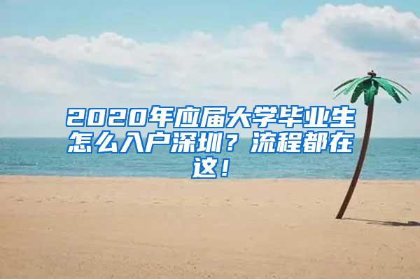 2020年应届大学毕业生怎么入户深圳？流程都在这！