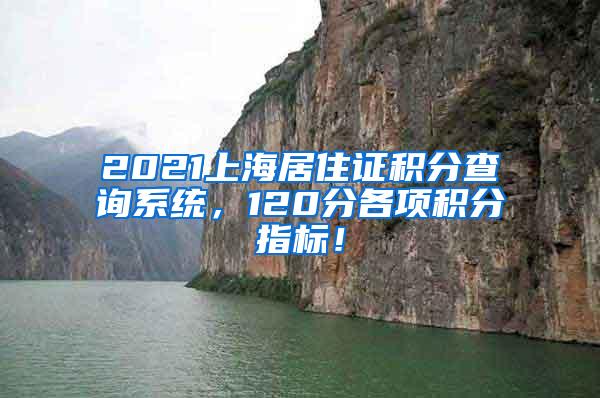 2021上海居住证积分查询系统，120分各项积分指标！