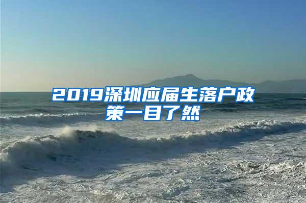 2019深圳应届生落户政策一目了然