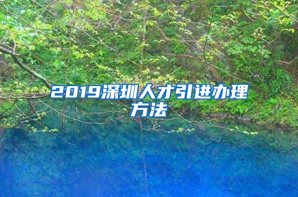 2019深圳人才引进办理方法