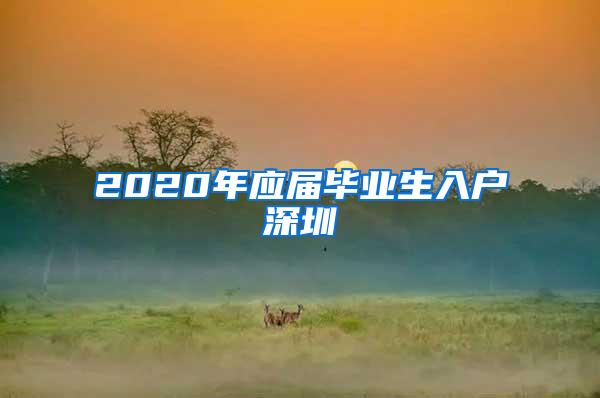 2020年应届毕业生入户深圳