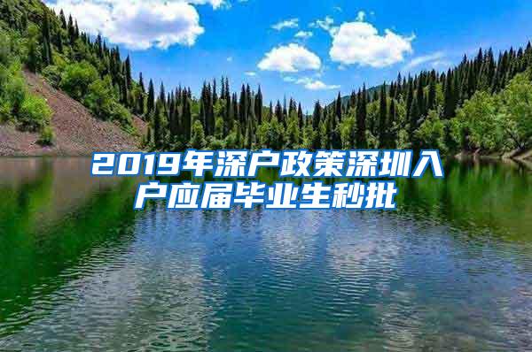 2019年深户政策深圳入户应届毕业生秒批