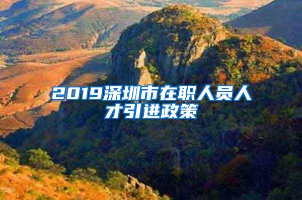 2019深圳市在职人员人才引进政策