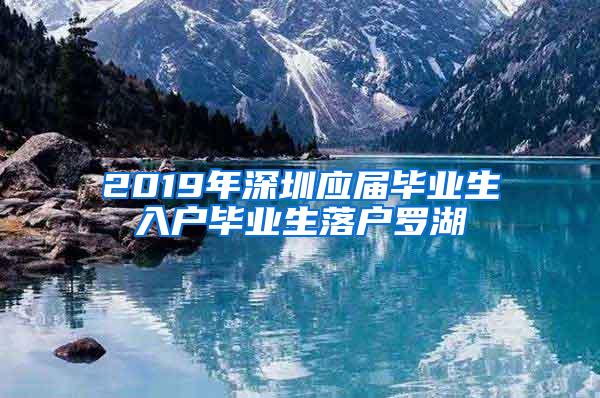 2019年深圳应届毕业生入户毕业生落户罗湖