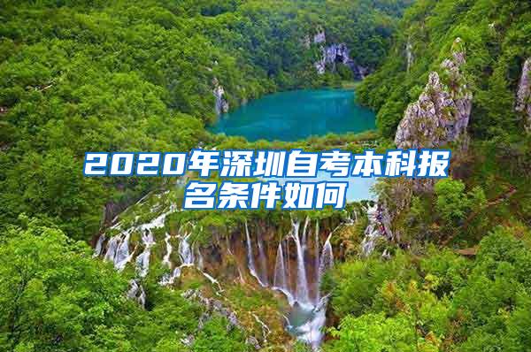 2020年深圳自考本科报名条件如何