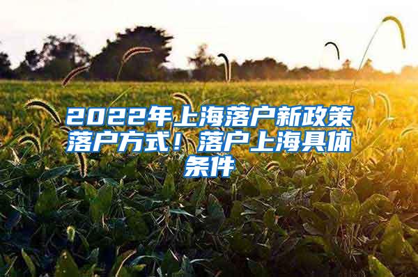 2022年上海落户新政策落户方式！落户上海具体条件