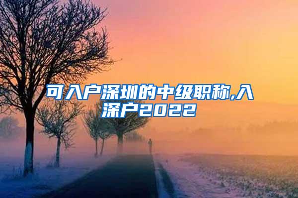 可入户深圳的中级职称,入深户2022