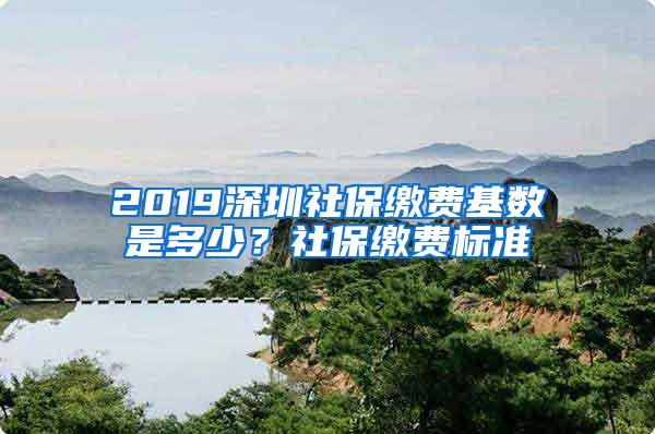 2019深圳社保缴费基数是多少？社保缴费标准