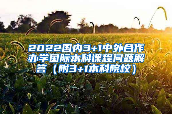 2022国内3+1中外合作办学国际本科课程问题解答（附3+1本科院校）