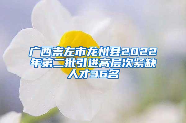 广西崇左市龙州县2022年第二批引进高层次紧缺人才36名