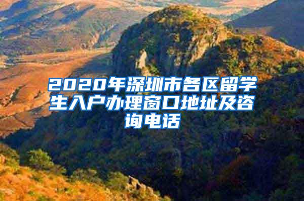 2020年深圳市各区留学生入户办理窗口地址及咨询电话