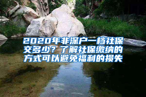 2020年非深户一档社保交多少？了解社保缴纳的方式可以避免福利的损失