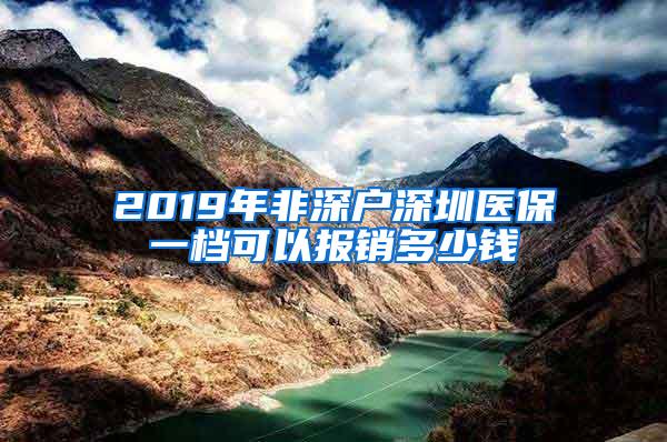 2019年非深户深圳医保一档可以报销多少钱