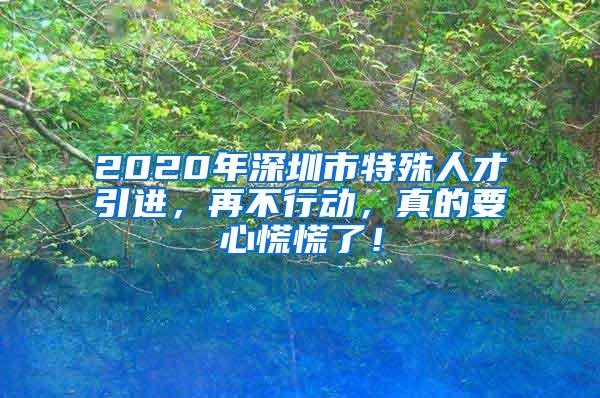 2020年深圳市特殊人才引进，再不行动，真的要心慌慌了！