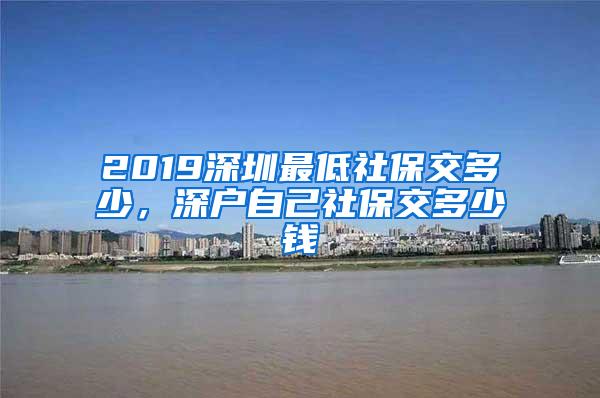 2019深圳最低社保交多少，深户自己社保交多少钱