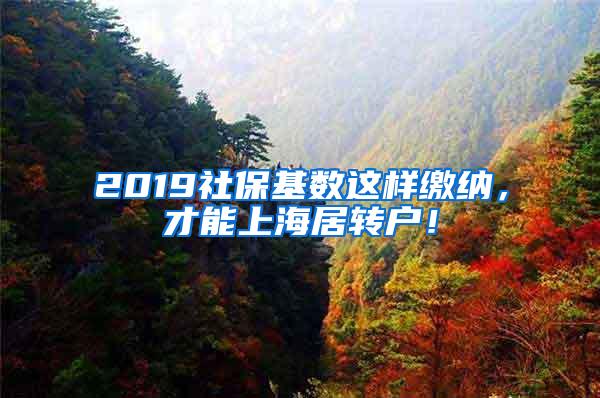 2019社保基数这样缴纳，才能上海居转户！