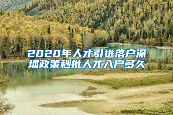 2020年人才引进落户深圳政策秒批人才入户多久