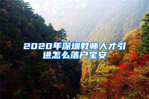 2020年深圳教师人才引进怎么落户宝安