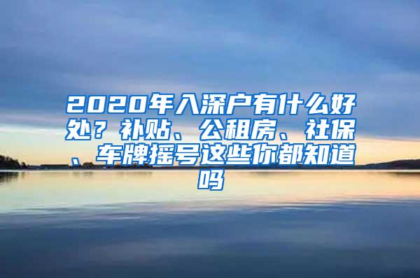 2020年入深户有什么好处？补贴、公租房、社保、车牌摇号这些你都知道吗