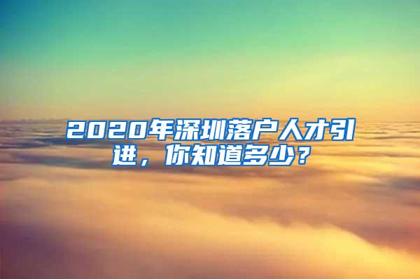 2020年深圳落户人才引进，你知道多少？