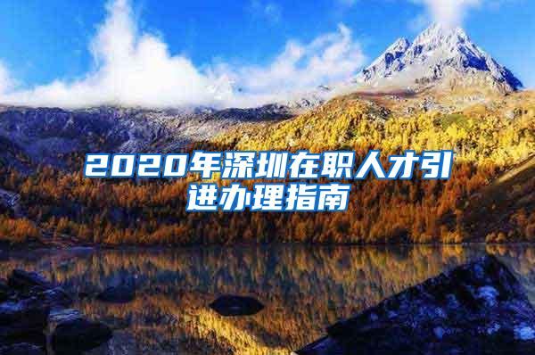 2020年深圳在职人才引进办理指南