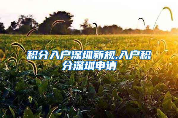 积分入户深圳新规,入户积分深圳申请