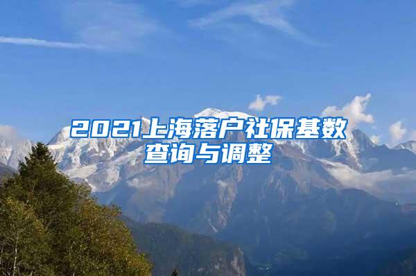 2021上海落户社保基数查询与调整