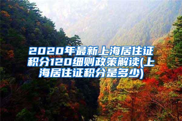 2020年最新上海居住证积分120细则政策解读(上海居住证积分是多少)