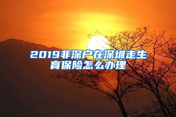 2019非深户在深圳走生育保险怎么办理