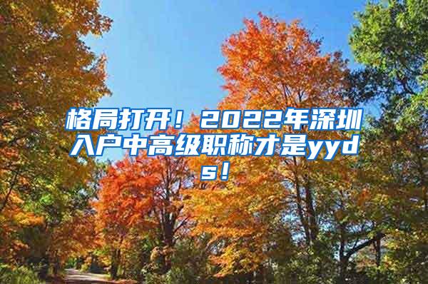 格局打开！2022年深圳入户中高级职称才是yyds！