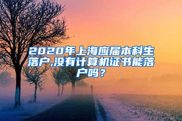 2020年上海应届本科生落户,没有计算机证书能落户吗？