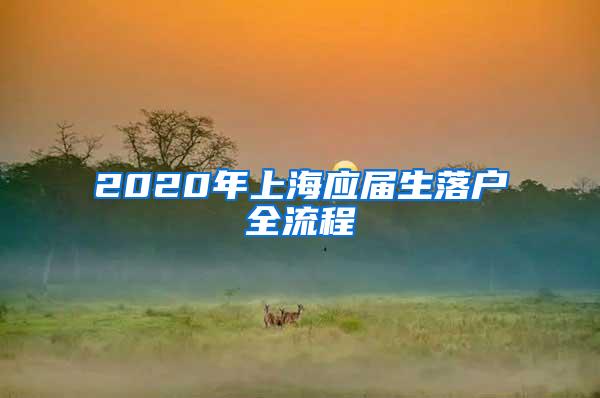 2020年上海应届生落户全流程