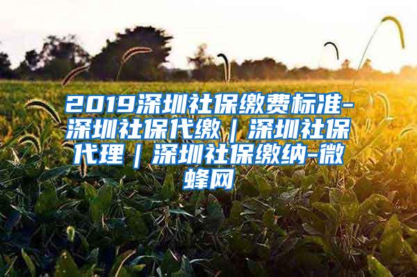 2019深圳社保缴费标准-深圳社保代缴｜深圳社保代理｜深圳社保缴纳-微蜂网