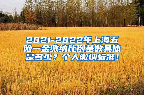 2021-2022年上海五险一金缴纳比例基数具体是多少？个人缴纳标准！