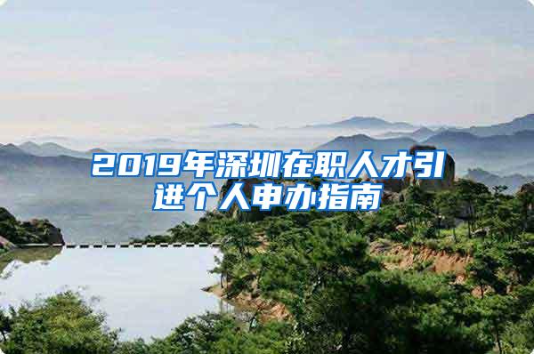 2019年深圳在职人才引进个人申办指南