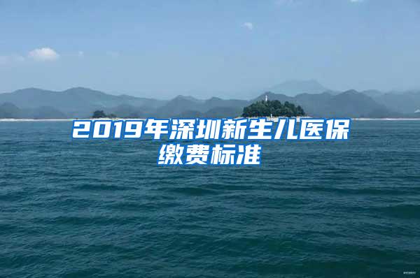 2019年深圳新生儿医保缴费标准