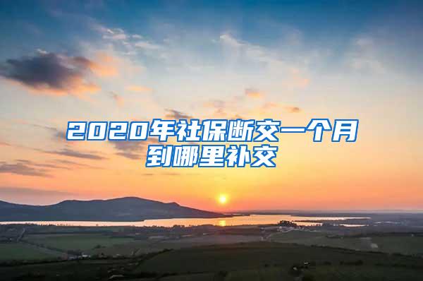 2020年社保断交一个月到哪里补交