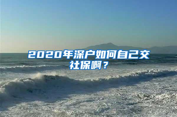 2020年深户如何自己交社保啊？