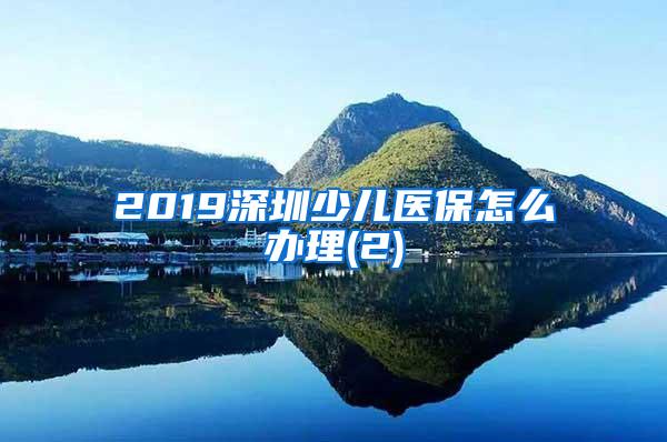 2019深圳少儿医保怎么办理(2)