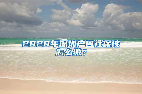 2020年深圳户口社保该怎么缴？