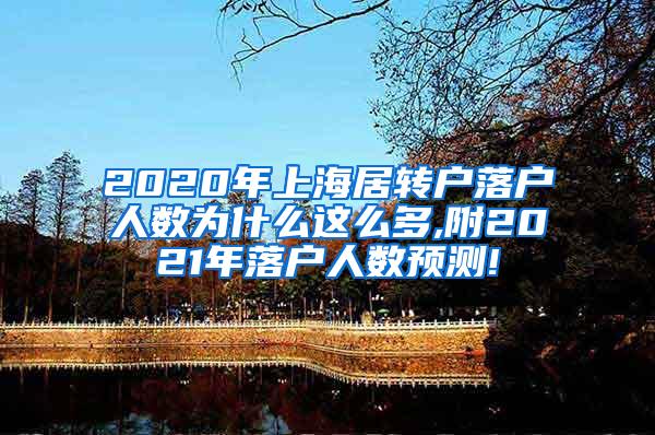 2020年上海居转户落户人数为什么这么多,附2021年落户人数预测!