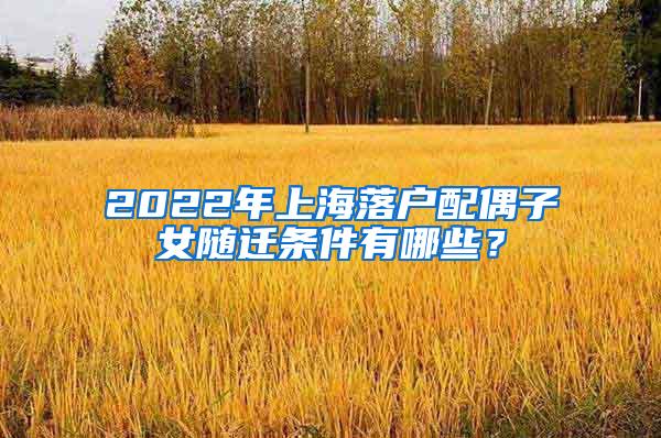 2022年上海落户配偶子女随迁条件有哪些？